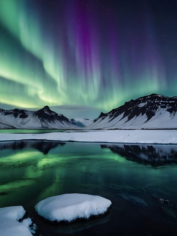 353098164_b58010e9-ee83-490f-b50a-c645b8385498